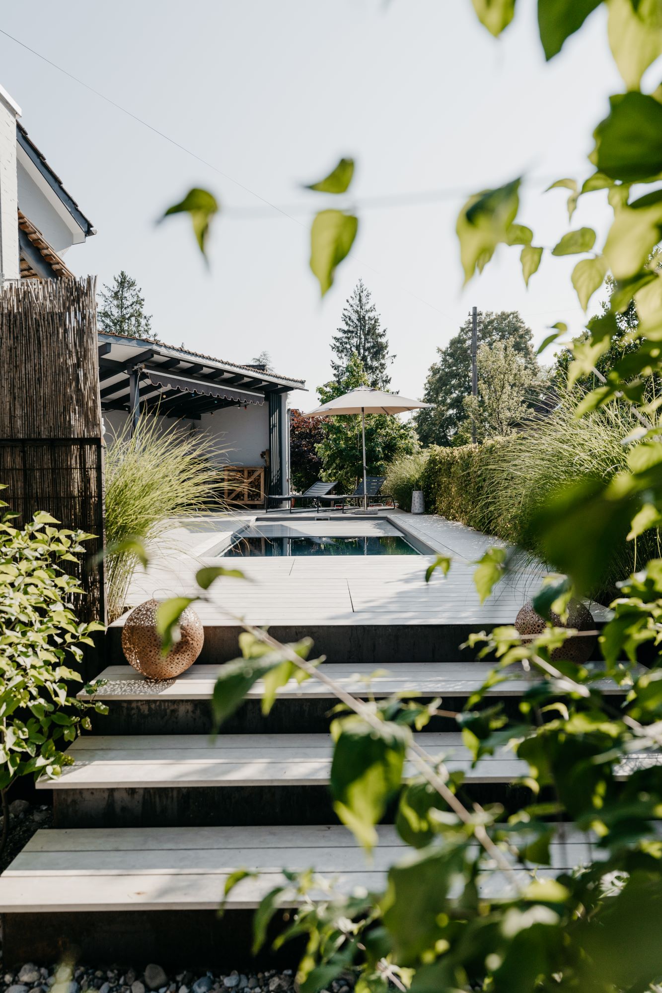 Accoya Terrasse mit Naturpool